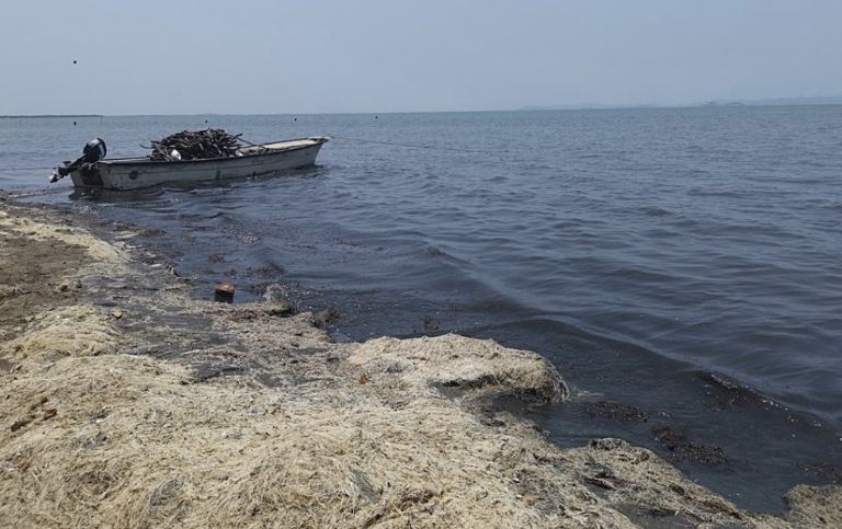 Hallan 3 cuerpos de migrantes en playa de Oaxaca